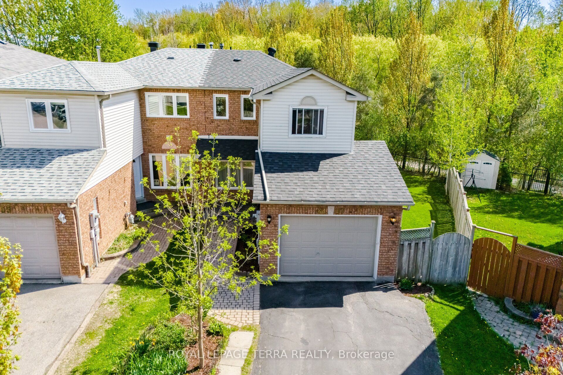 3407 Nighthawk Trail