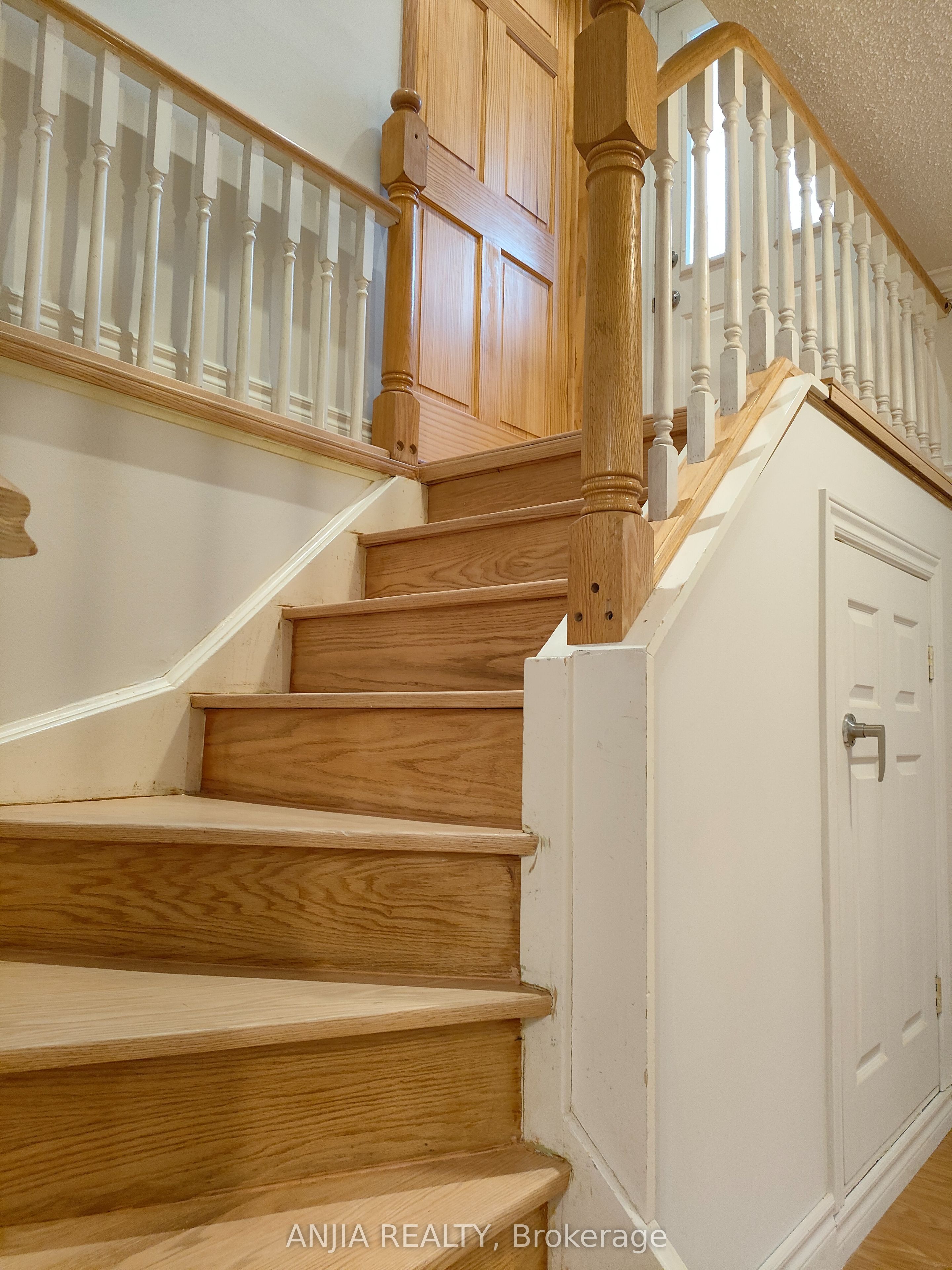 4 Southdale Drive Basement