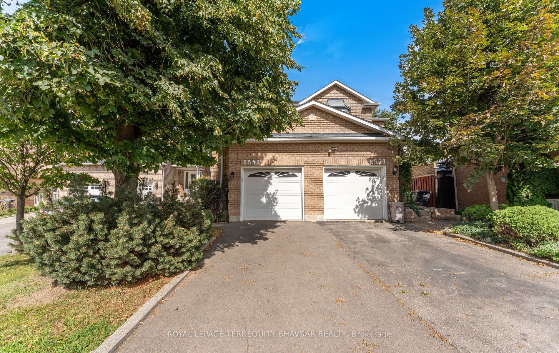 6559 Sapling Trail