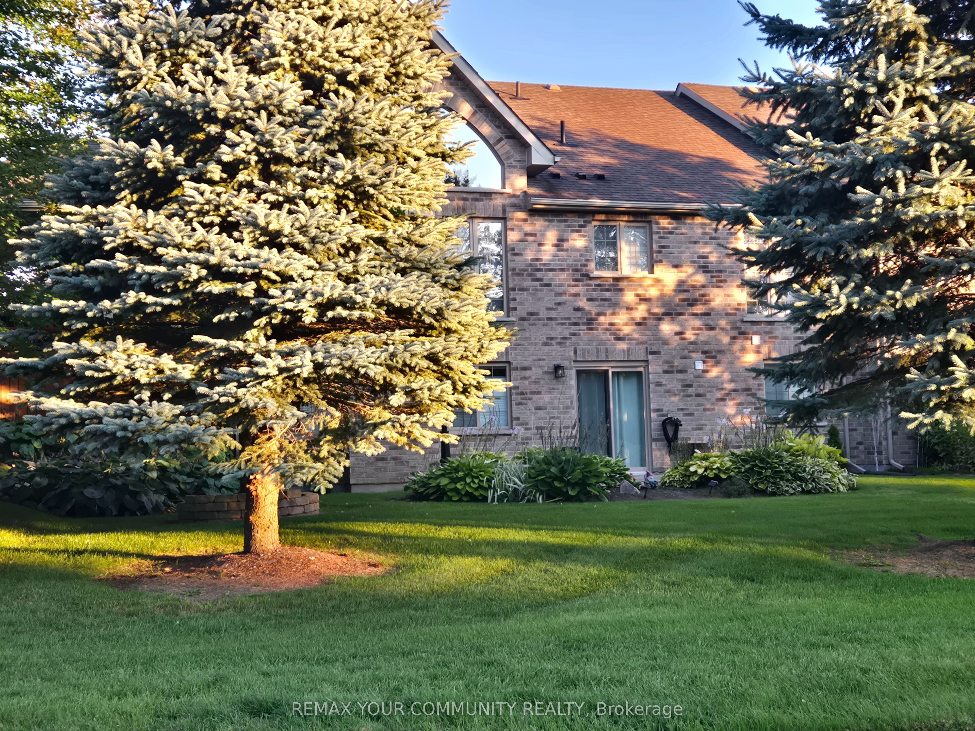 10 Reddington Drive 6
