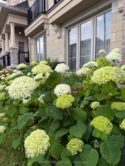 87 Grand Trunk Avenue Vaughan ON L6A 5B3