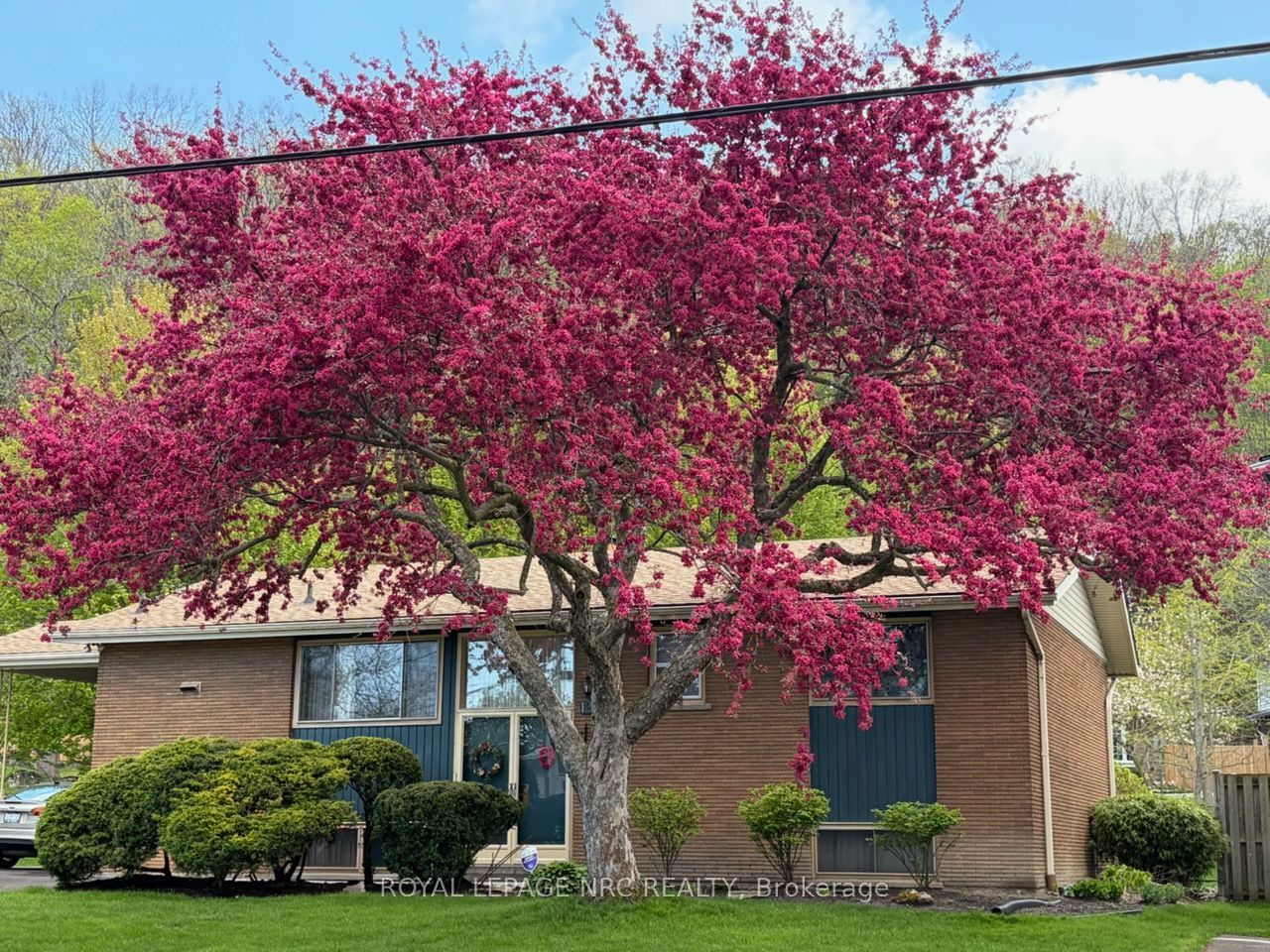 126 Woodside Drive
