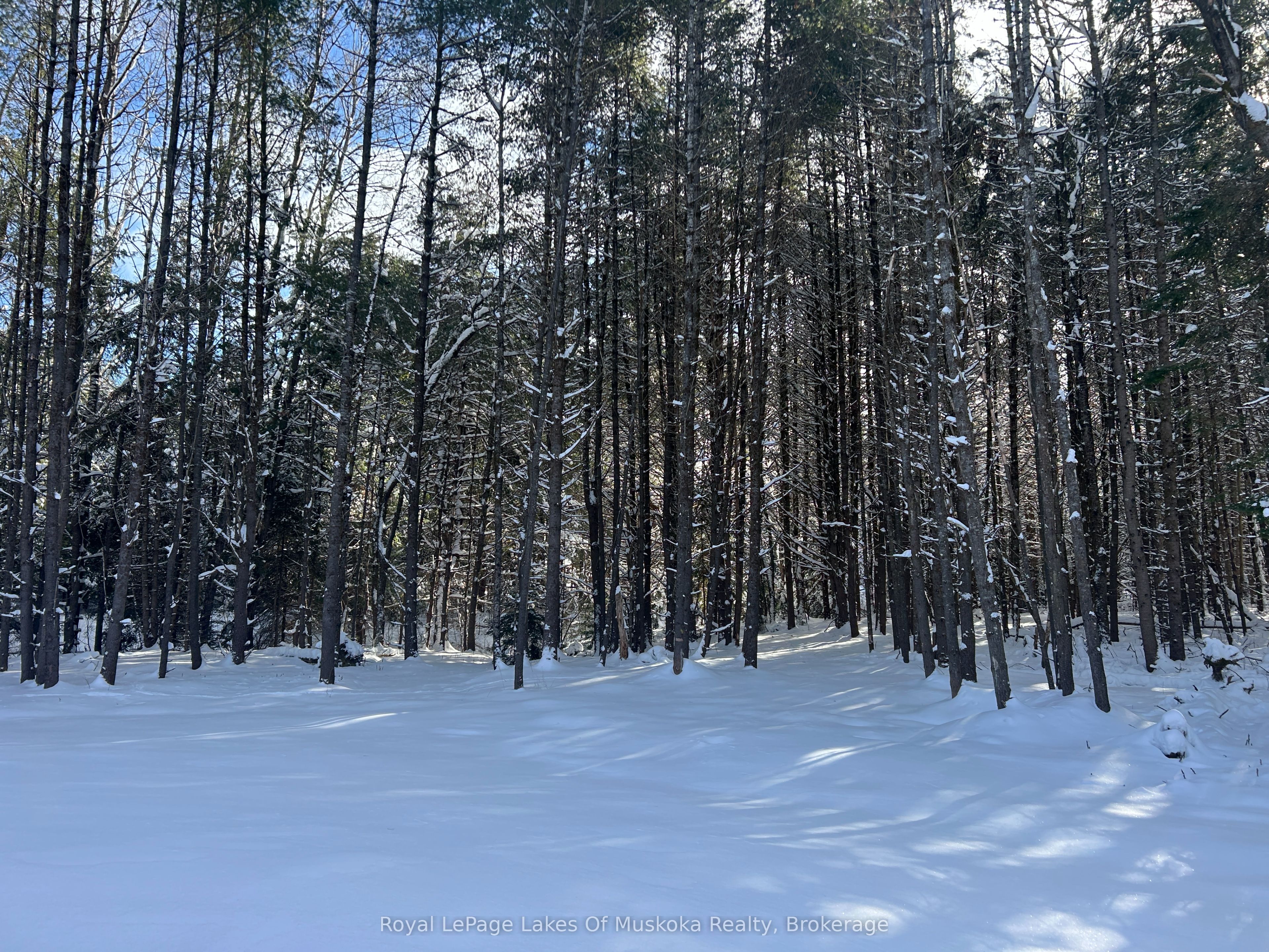 286 Clearwater Lake Road