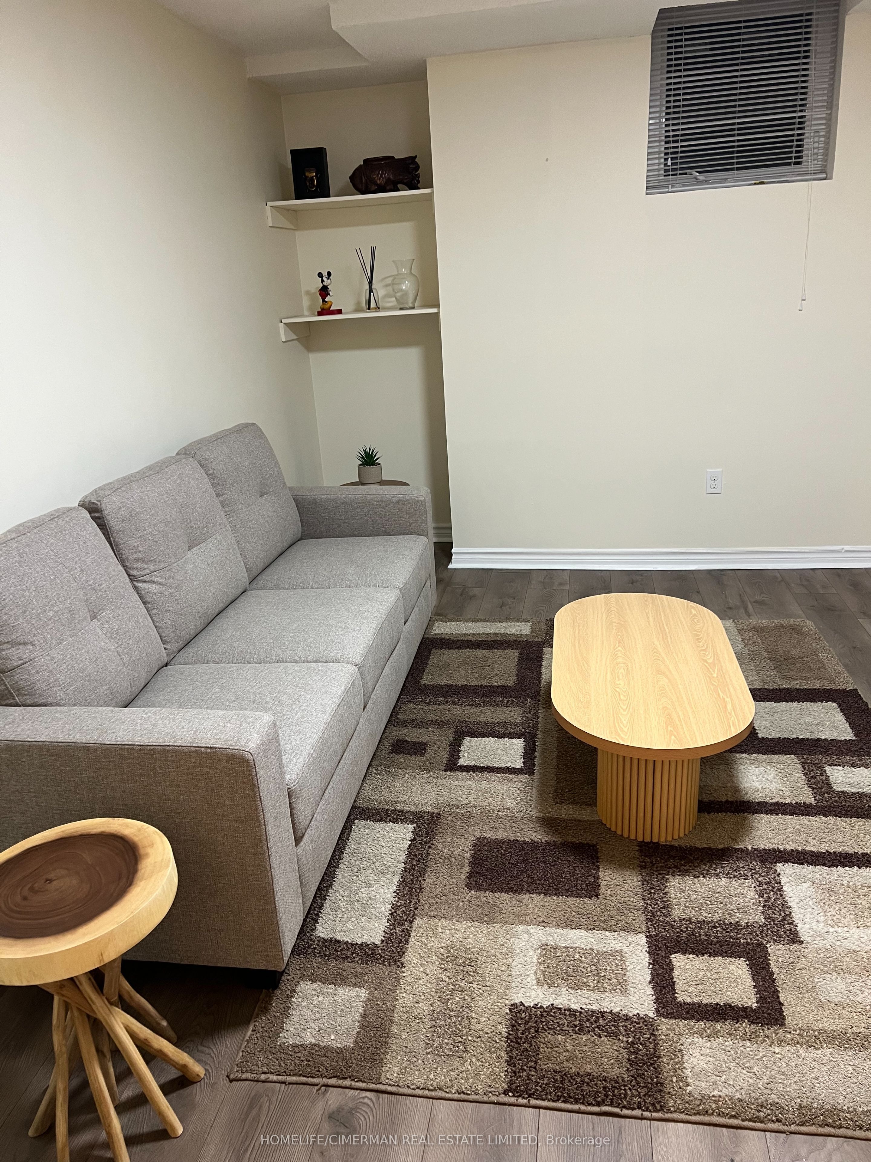 5484 Freshwater Drive Basement