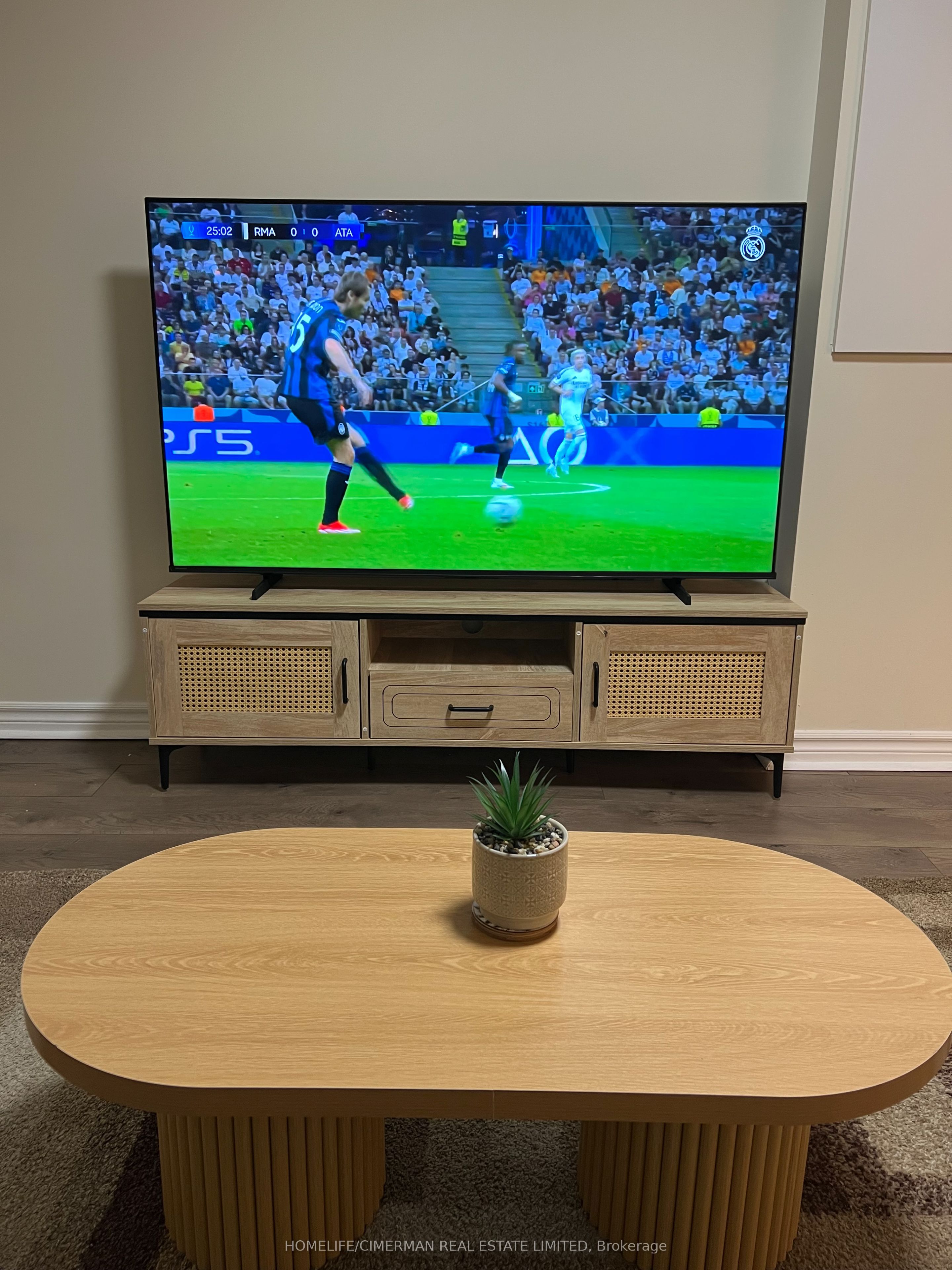 5484 Freshwater Drive Basement