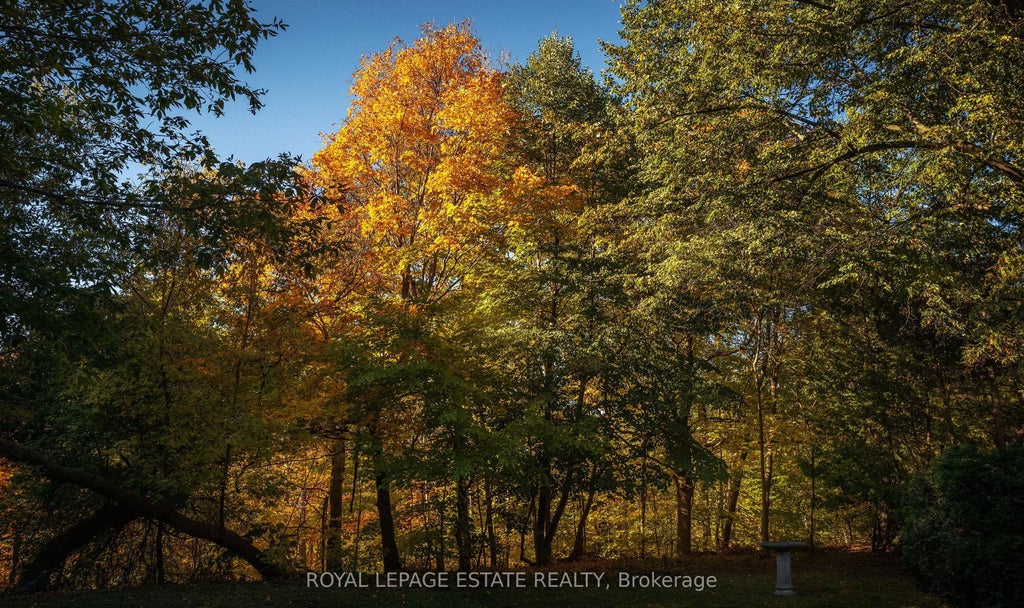 Photo of 30 Barbara Crescent, Toronto, ON M4C 3B2 (MLS # E13851872)