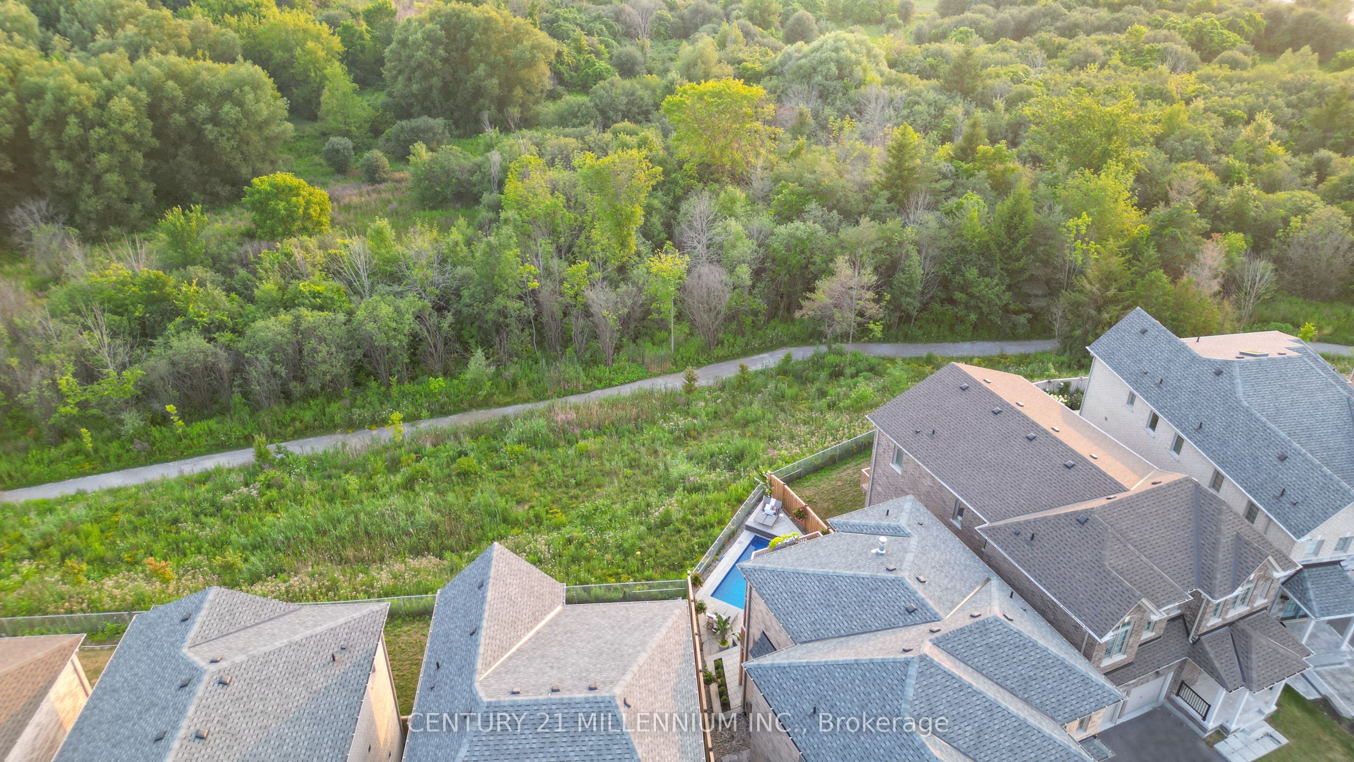 1956 Don White Court