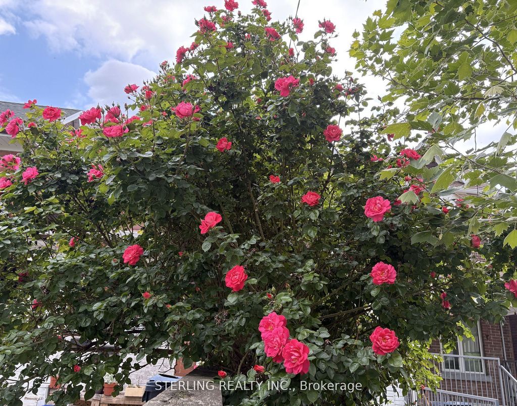 Photo of 13 Auburn Avenue, Toronto, ON M6H 2L6 (MLS # W12396317)