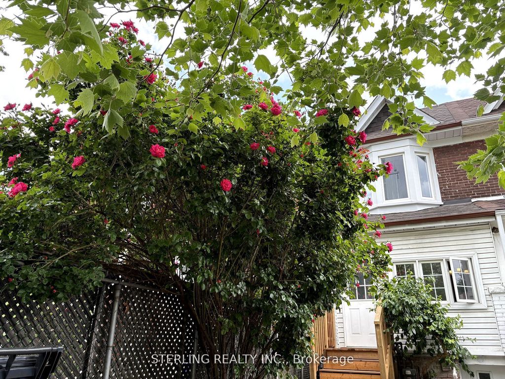 Photo of 13 Auburn Avenue, Toronto, ON M6H 2L6 (MLS # W12396317)