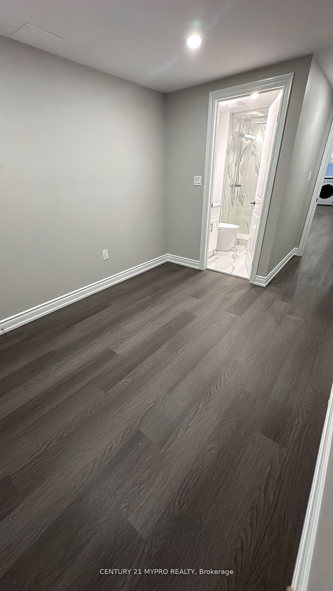 62 Willow Street Basemen