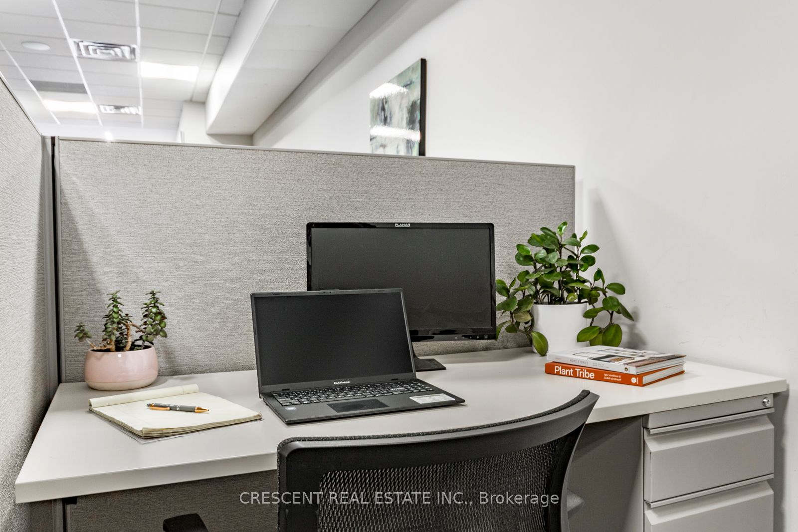 Cubicle #