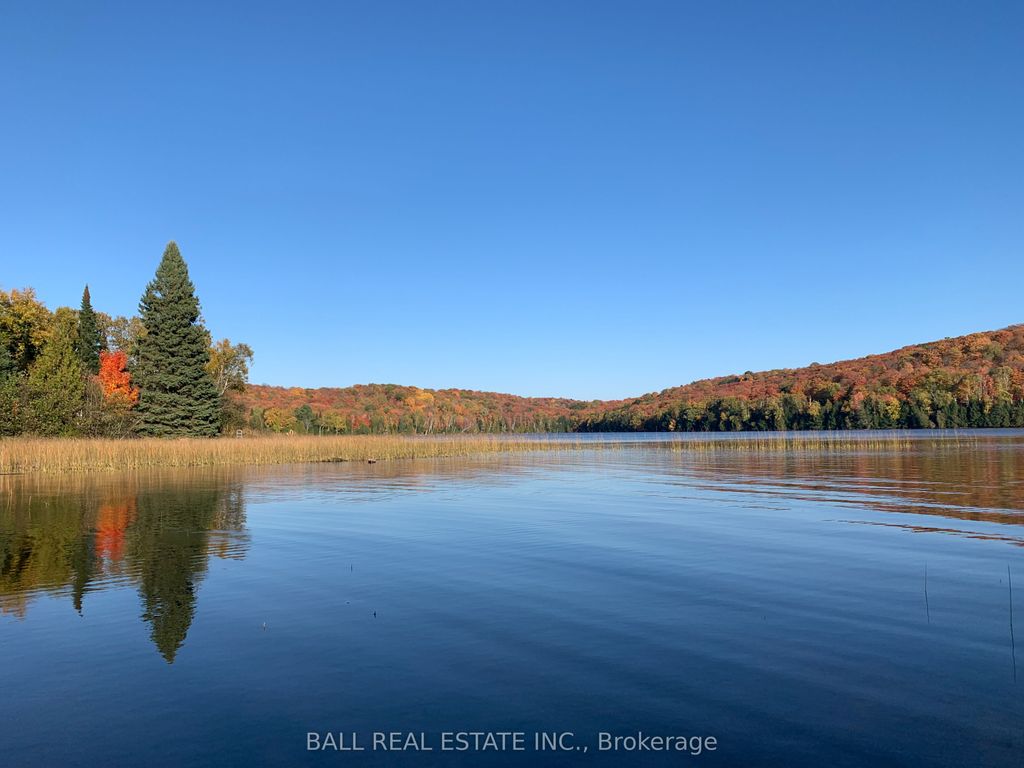 Photo of 294 Albion Lake Drive, Faraday, ON K0L 1C0 (MLS # X13053012)