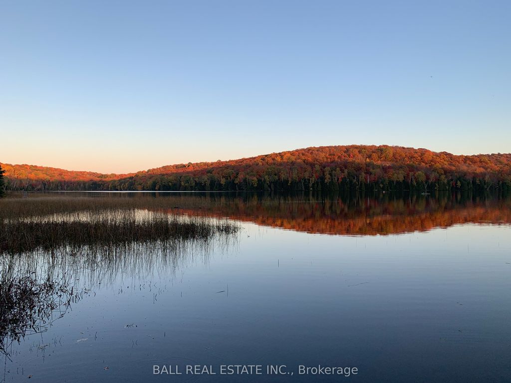 Photo of 294 Albion Lake Drive, Faraday, ON K0L 1C0 (MLS # X13053012)