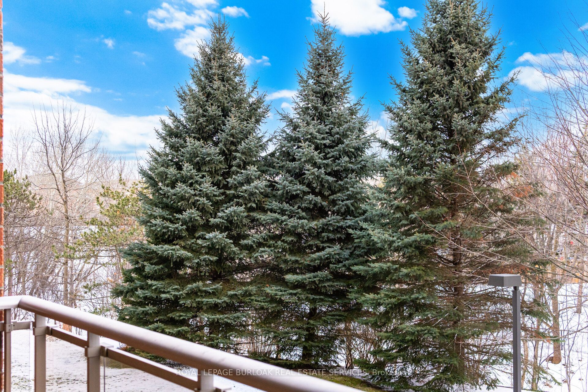 1499 Nottinghill Gate 207