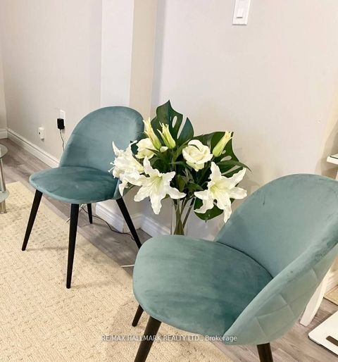 214 Beechy Drive BASEMENT Richmond Hill ON L4C 2X7