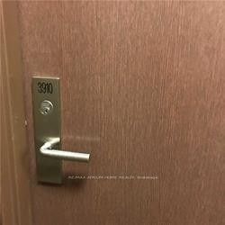 386 Yonge Street 3910
