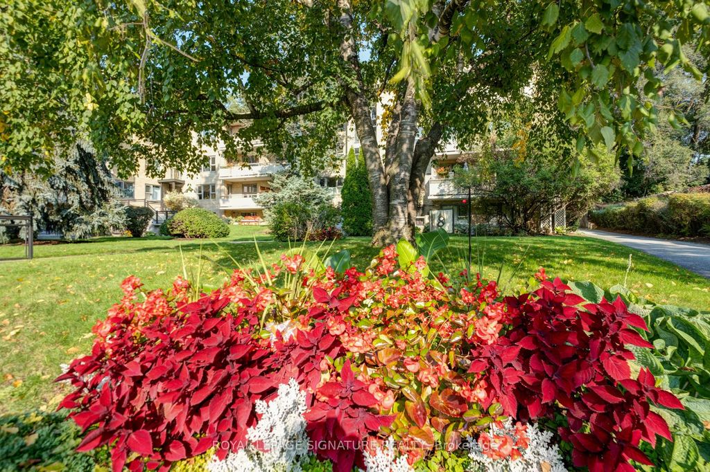 Photo of 8 Corinth Gardens #3, Toronto, ON M4P 2N5 (MLS # C12407355)