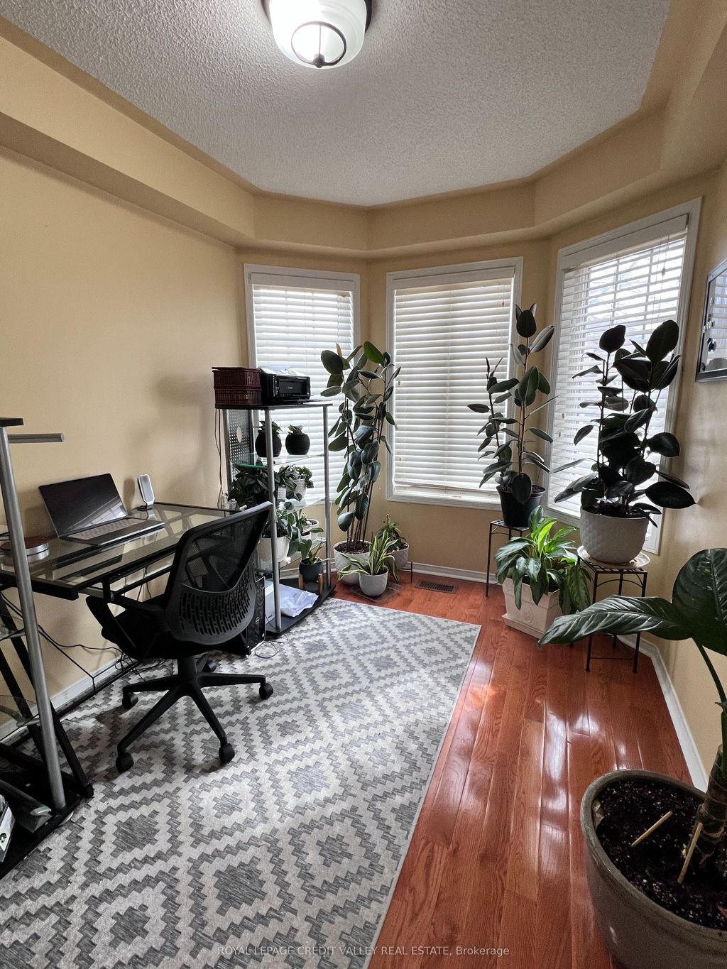 Photo of 4 Kanata Road, Brampton, ON L7A 3R2 (MLS # W12858568)