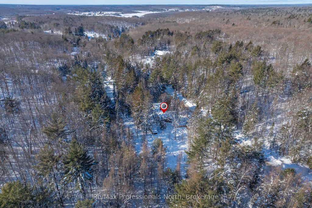 Photo of 1465 Falkenburg Road, Muskoka Lakes, ON P1L 1X4 (MLS # X12770944)