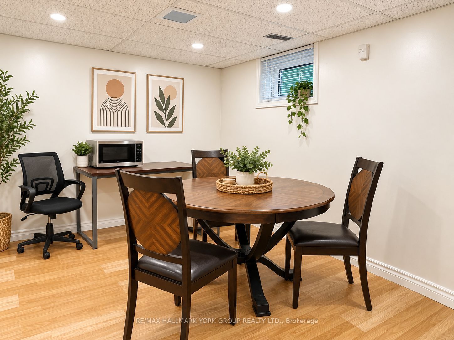 22 Thorne Lane BASEMENT