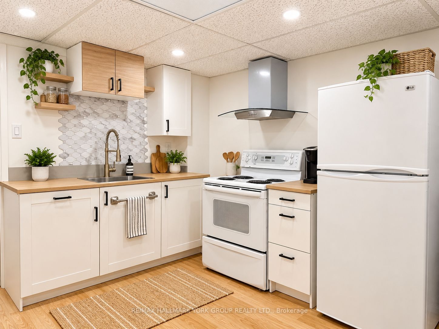 22 Thorne Lane BASEMENT