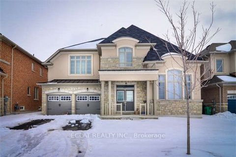 49 Martin Bryne (Basement) Drive Brampton ON L6P 0V2