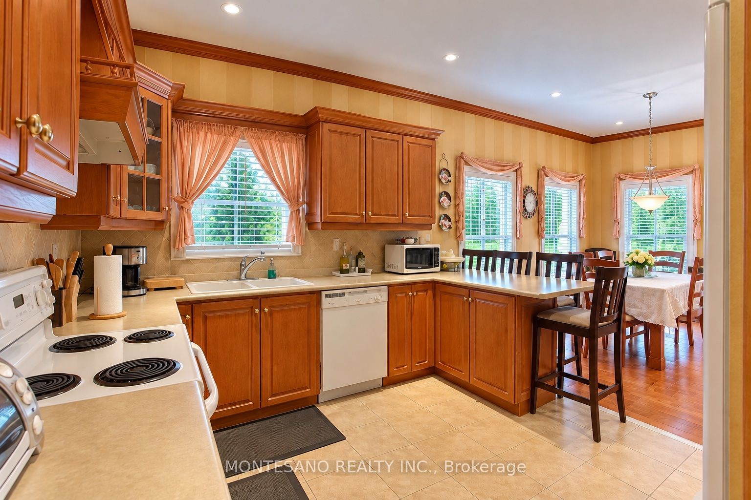 1133 Siesta Drive