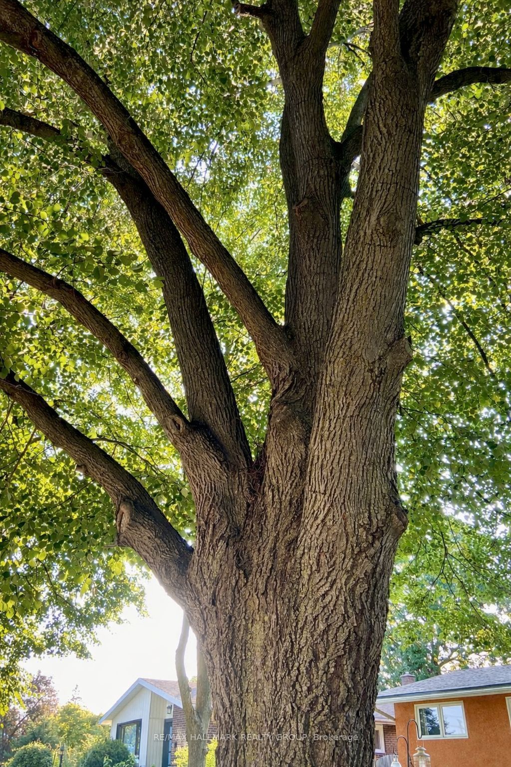 Photo of 2401 Magnus Avenue, Elmvale Acres and Area, ON K1G 1J7 (MLS # X12884274)