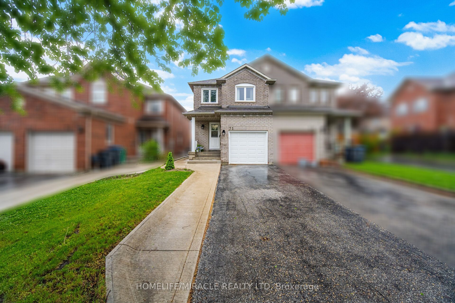 71 Dandelion Road