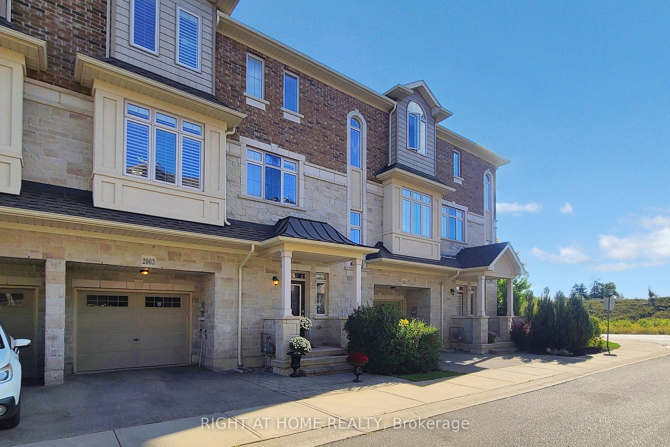 2003 DEERVIEW Common