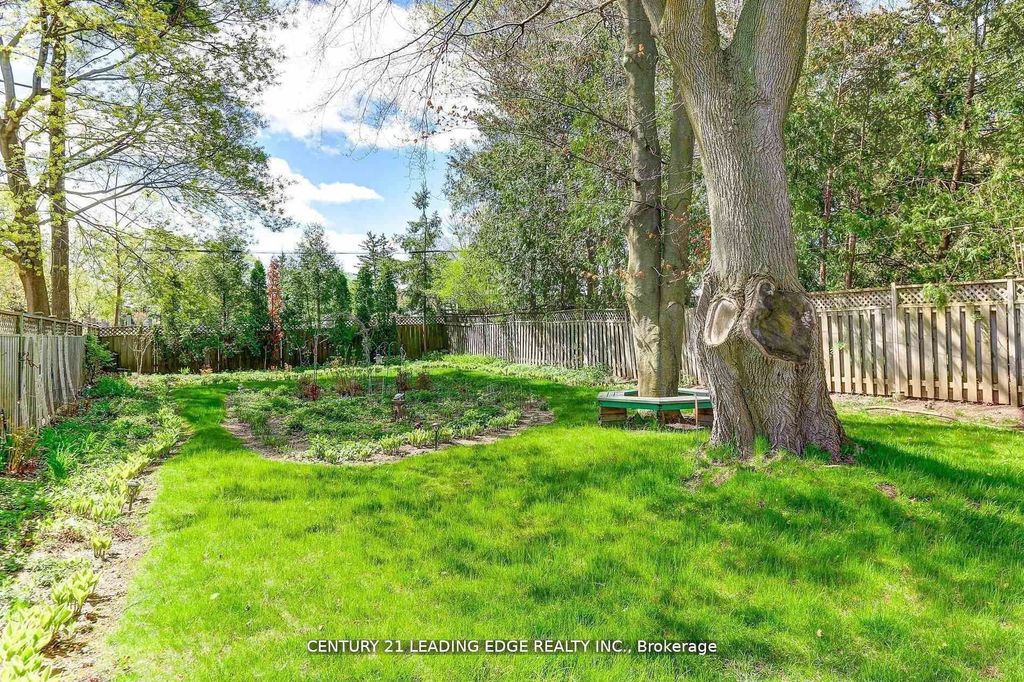 Photo of 19 Royaleigh Avenue, Toronto, ON M9P 2J4 (MLS # W12699480)