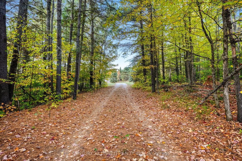 Photo of 31 McLean Road, Hastings Highlands, ON K0L 2R0 (MLS # X12451624)