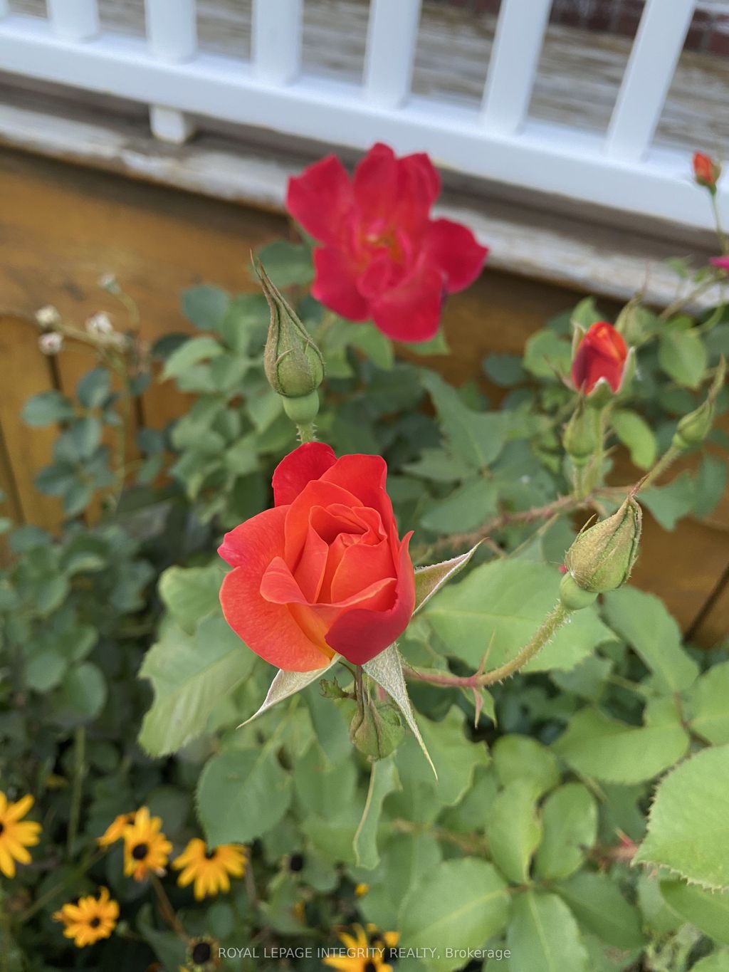 Photo of 3264 Johnston Avenue, Cornwall, ON K6K 1H3 (MLS # X13028340)