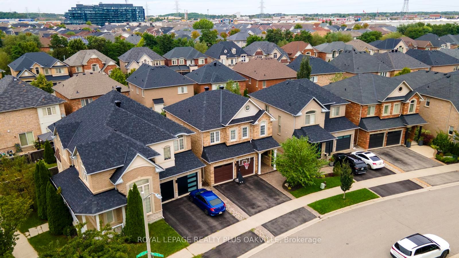 3119 Hedges Drive