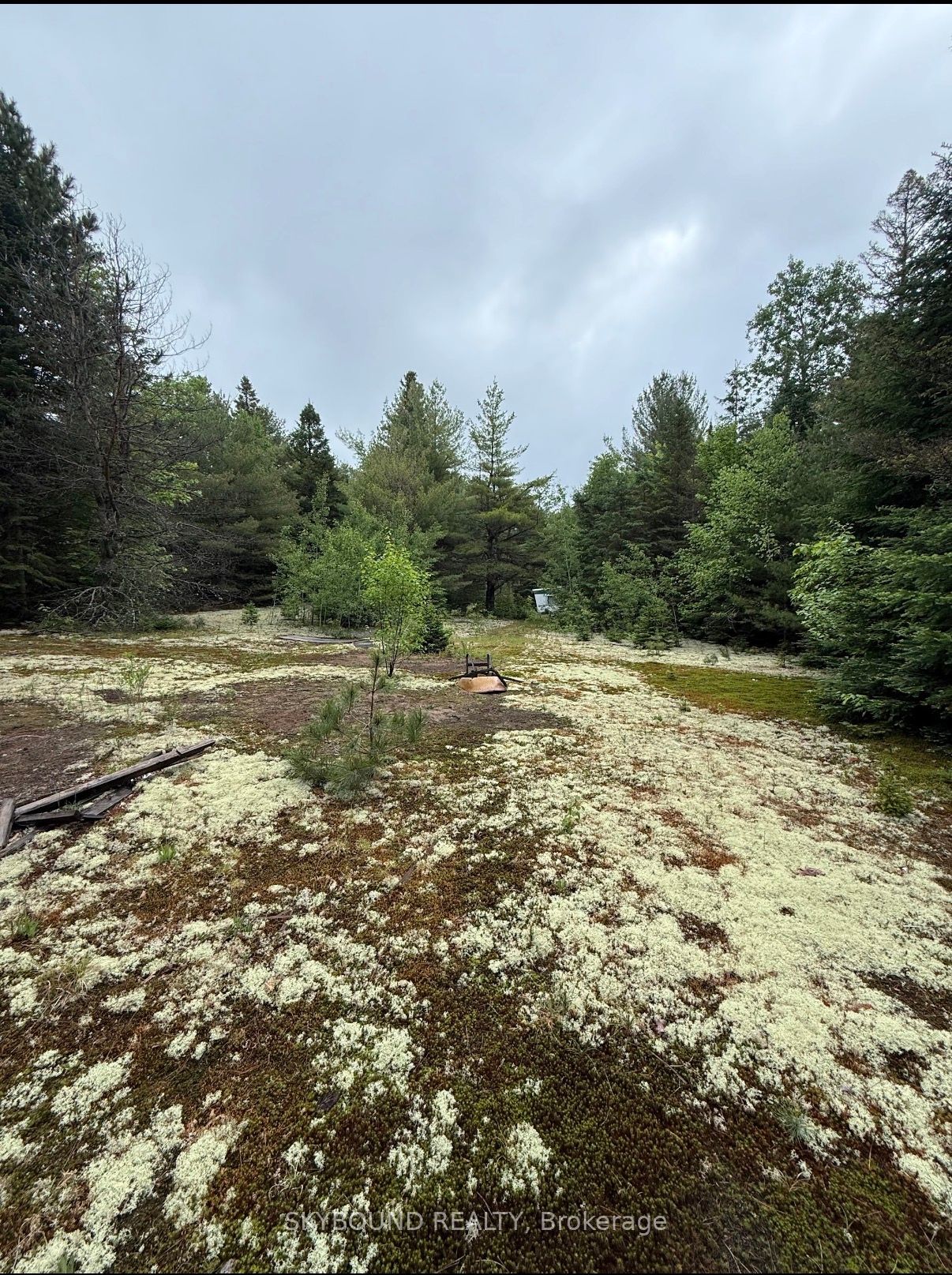 Photo 1 of 10 — 92 McAlpine Road, Hastings Highlands, ON K0L 2S0