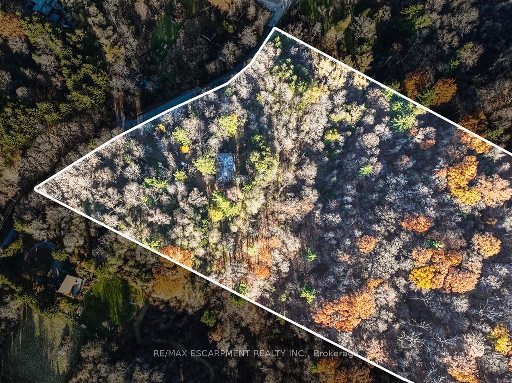1296 Mineral Springs Road