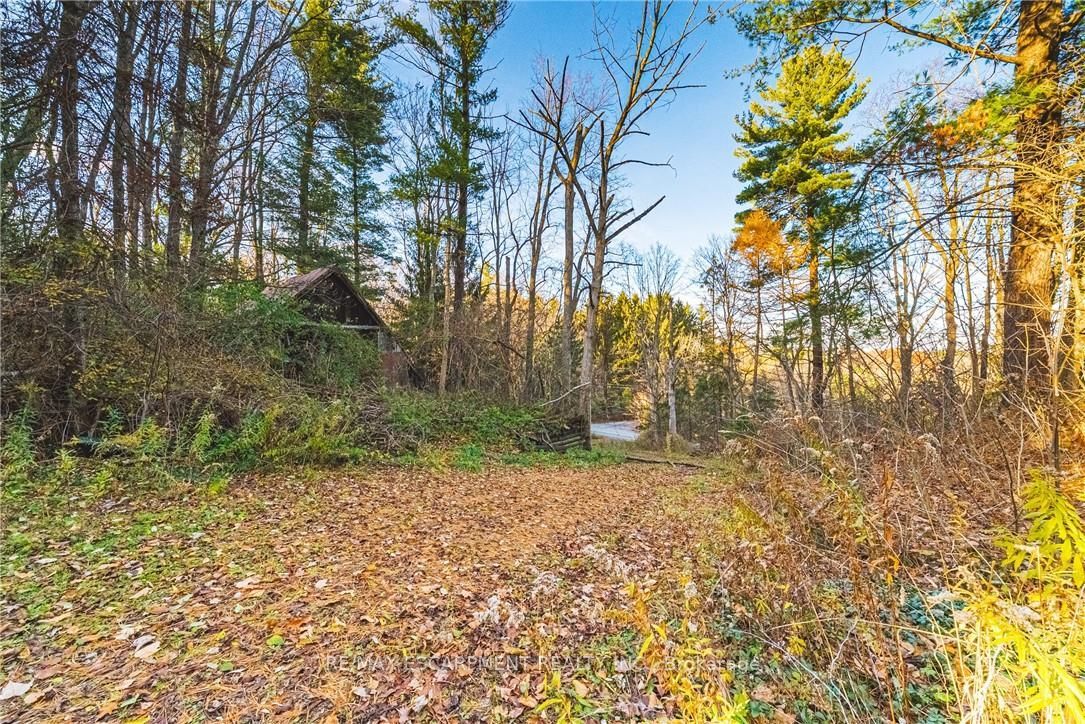 1296 Mineral Springs Road