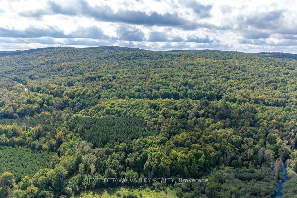00 Opeongo Road - Photo 3