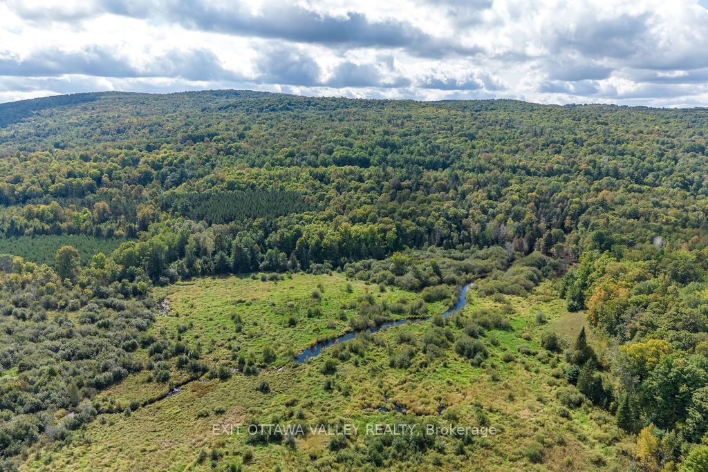00 Opeongo Road - Photo 4