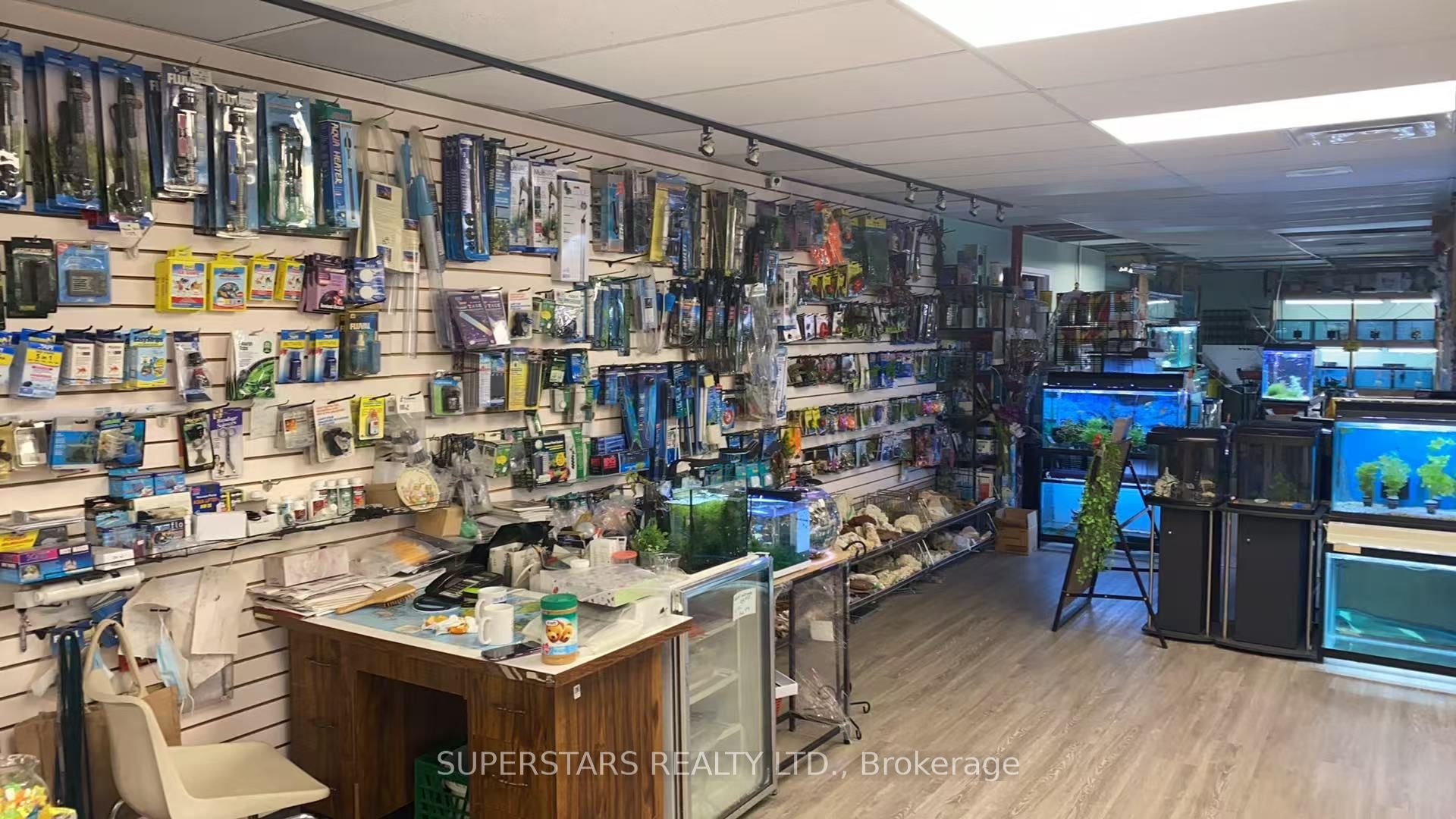 222 Spadina Avenue 26