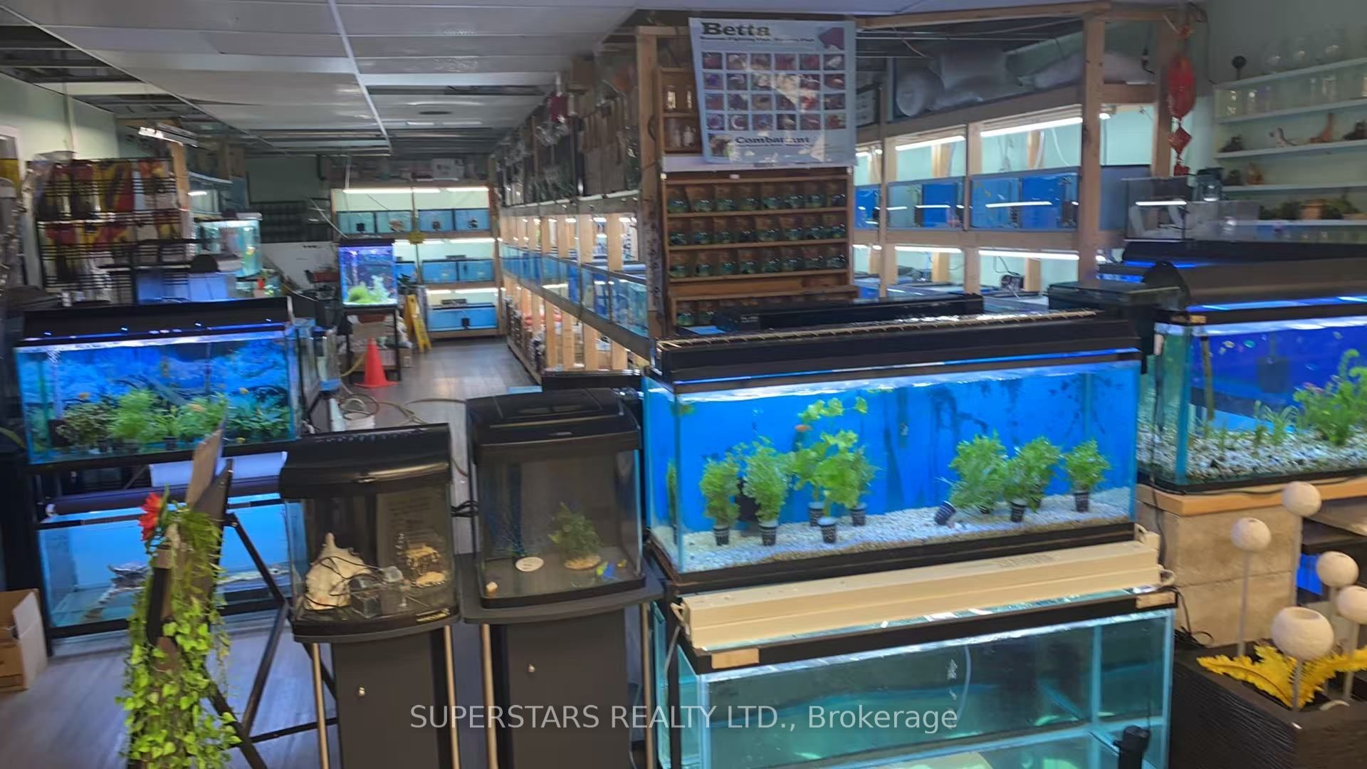 222 Spadina Avenue 26