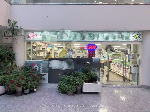 222 Spadina Avenue 26 Toronto ON M5T 3B3