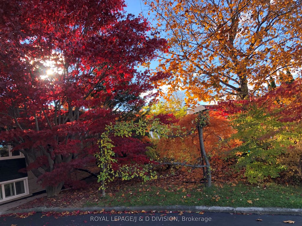 Photo of 27 Paramount Court, Toronto, ON M6M 2L3 (MLS # W12532718)