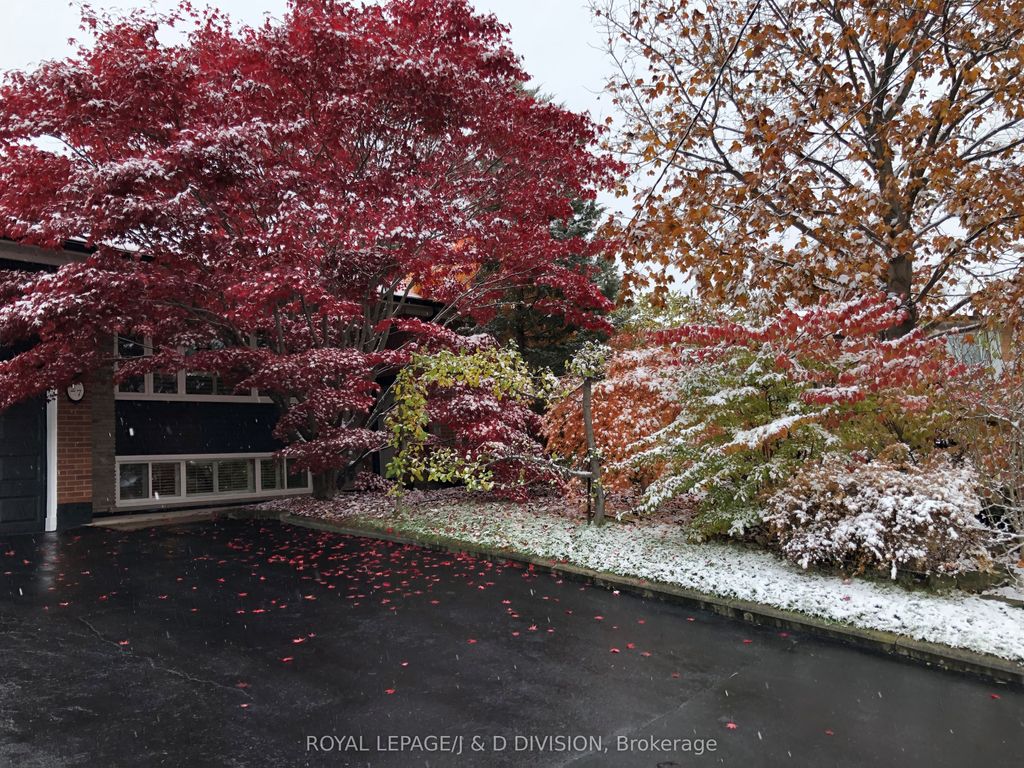 Photo of 27 Paramount Court, Toronto, ON M6M 2L3 (MLS # W12532718)