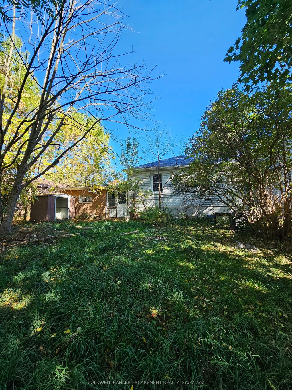 Photo of 10 Margaret Street, Halton Hills, ON L7G 1V6 (MLS # W12455729)
