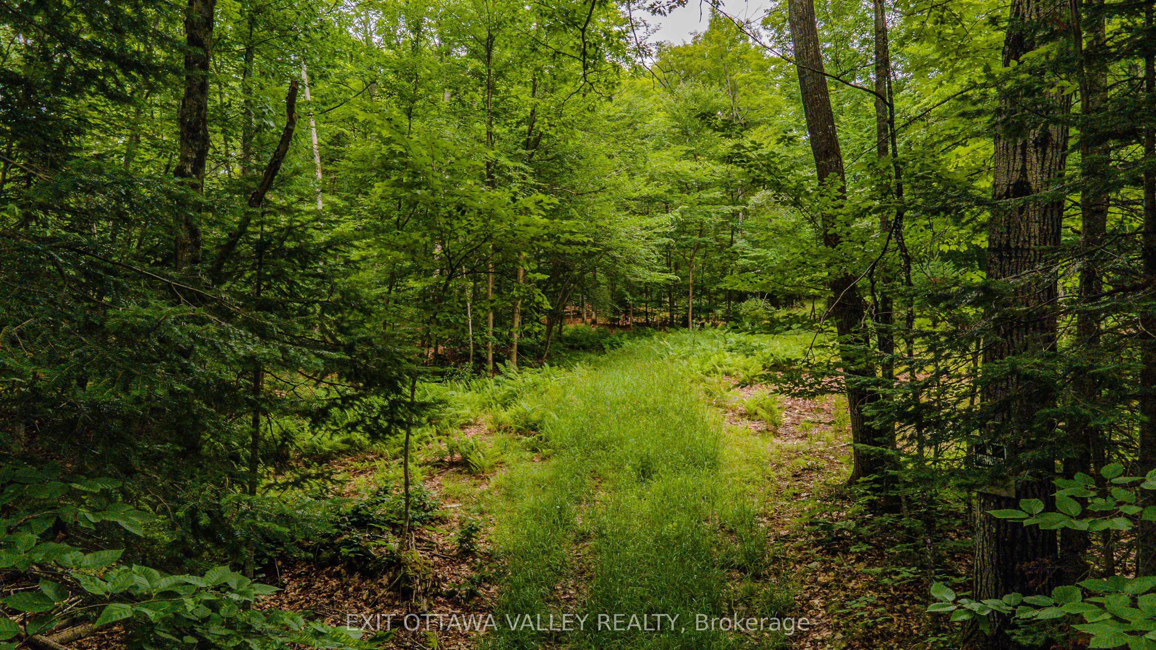 Photo 1 of 26 — 0 Peplinskie Road, Madawaska Valley, ON K0J 1L0