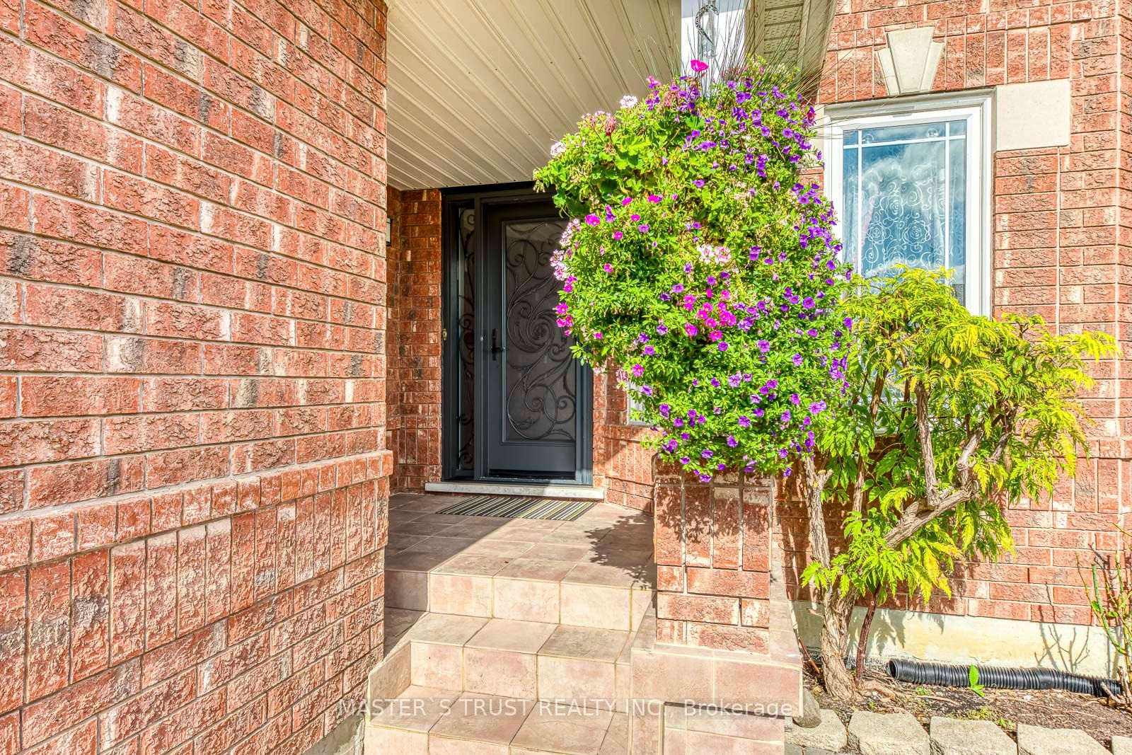 66 Snow Leopard Court