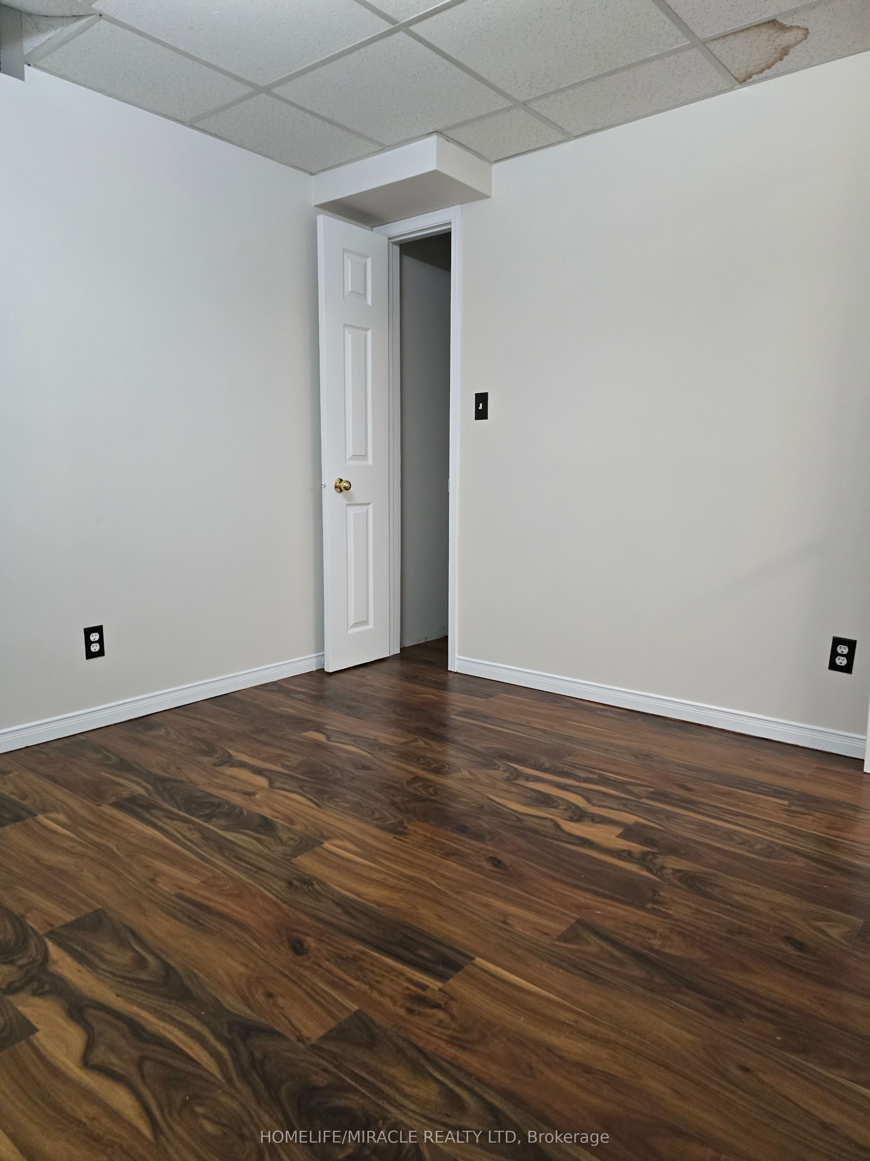 1128 Swinbourne Drive BSMT