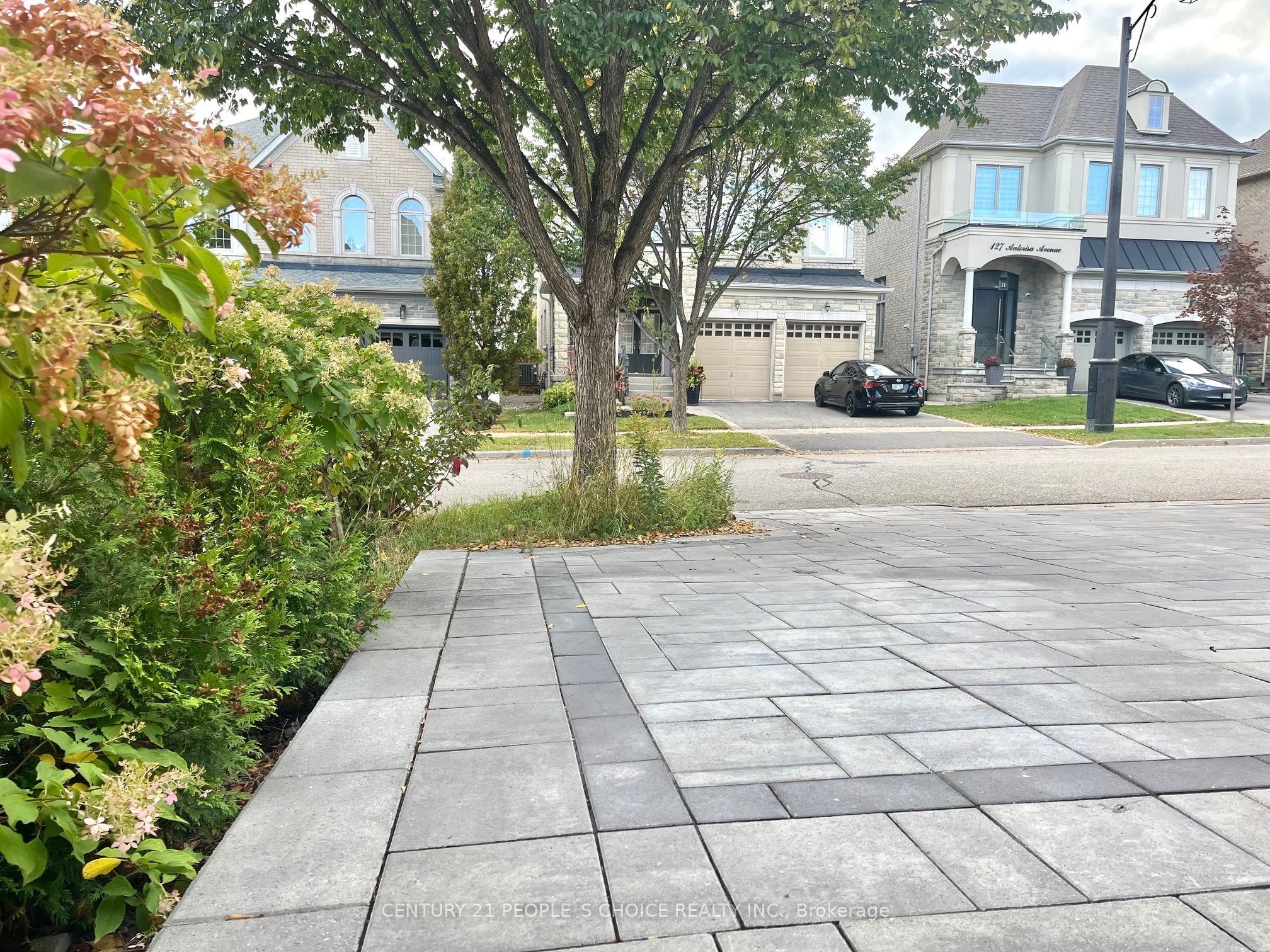 132 Antorisa Avenue Bsmt