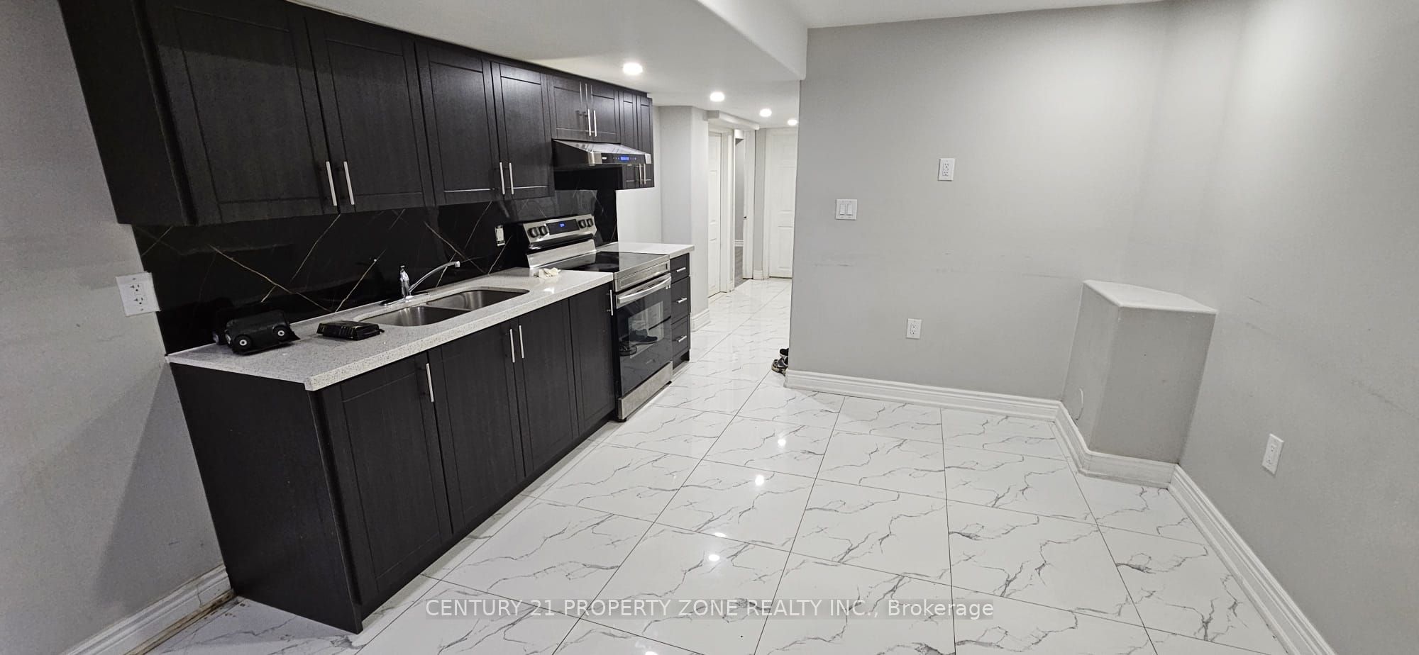 21 Iceland Poppy Trail Basement